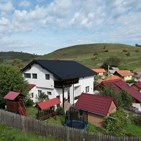Cazare La Mitica Subcetate  Exterior foto